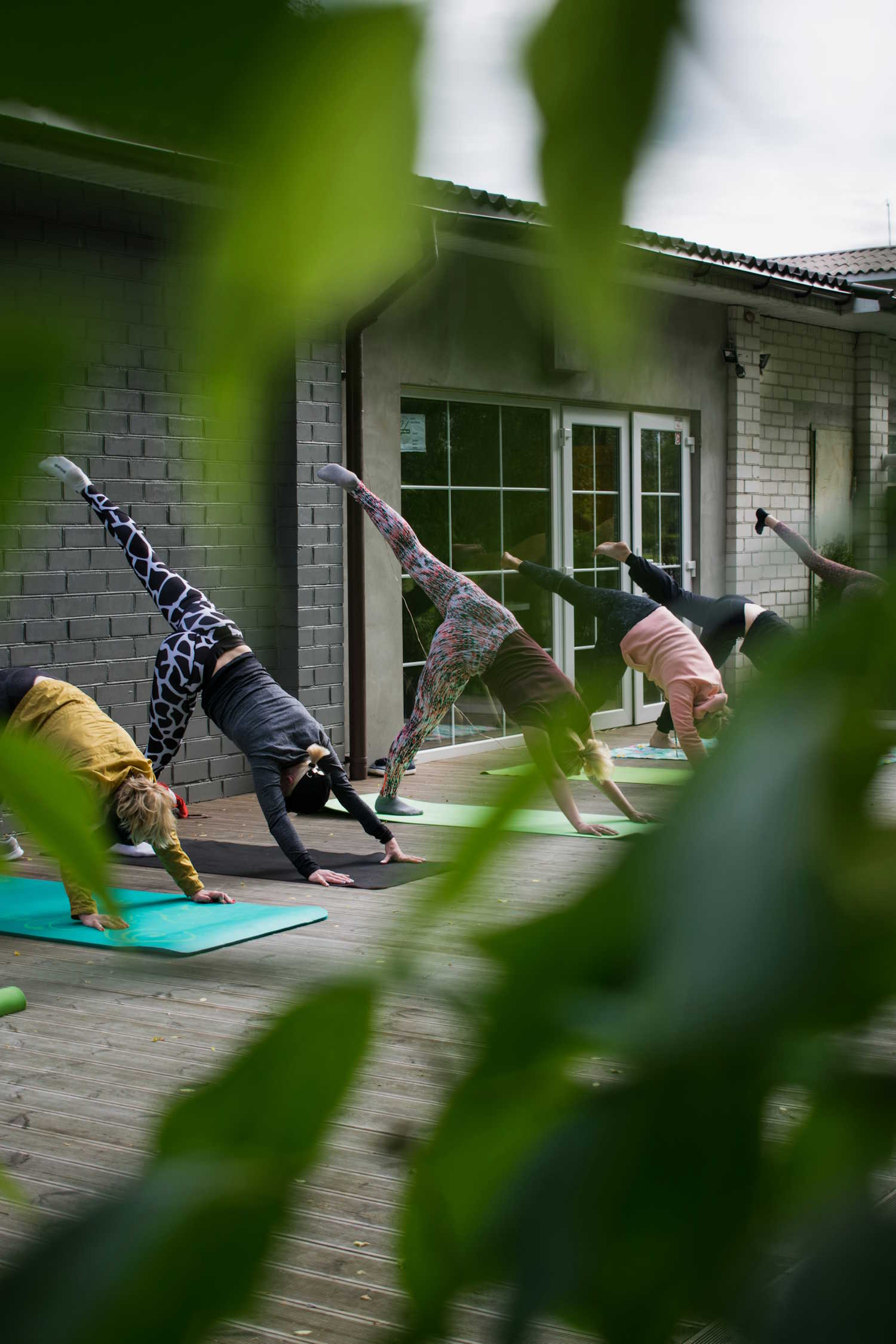 Nature-themed wellness image